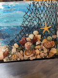 shells in net