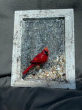 cardinal on glass